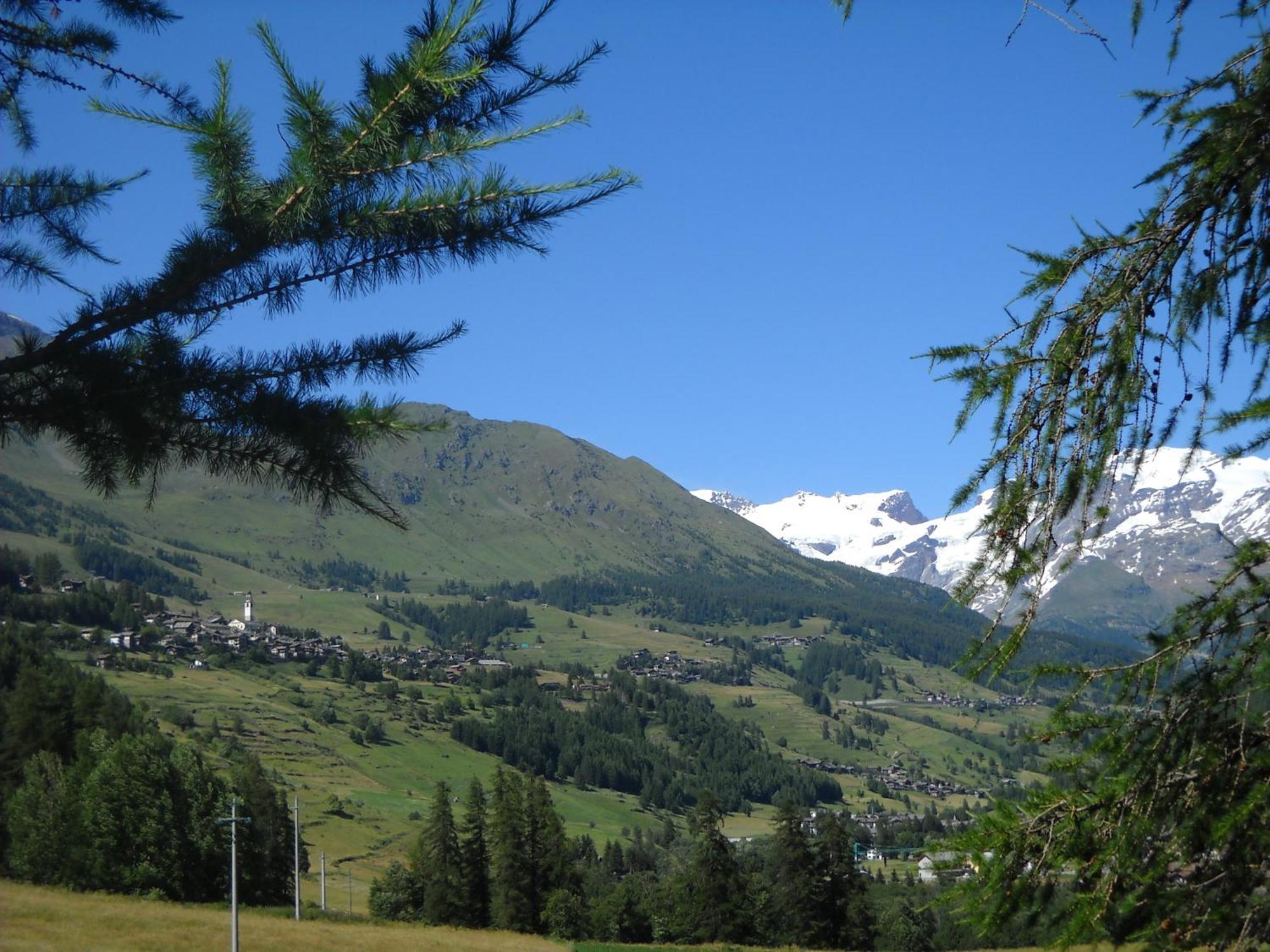 Residence Les Myosotis Champoluc Εξωτερικό φωτογραφία