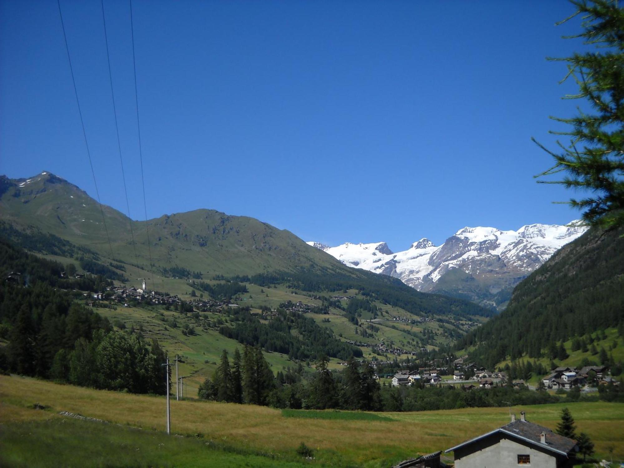 Residence Les Myosotis Champoluc Εξωτερικό φωτογραφία
